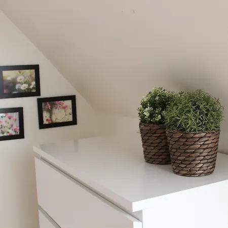 Sleepover Alojamento de Acomodação e Pequeno-almoço