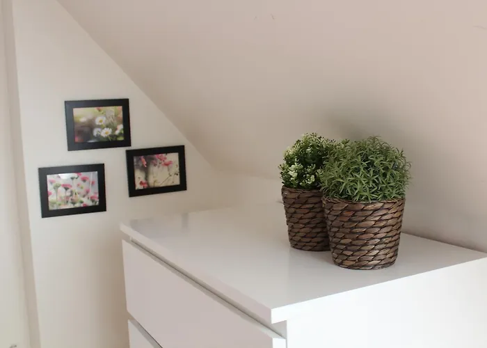 Sleepover Alojamento de Acomodação e Pequeno-almoço